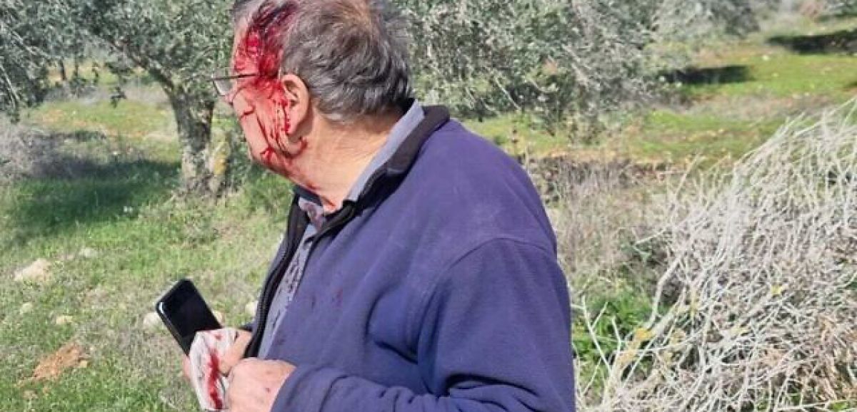 Des dizaines d'habitants d'implantations attaquent des Palestiniens en Judée-Samarie
