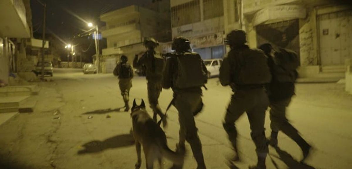 9 suspects terroristes palestiniens arrêtés par Tsahal