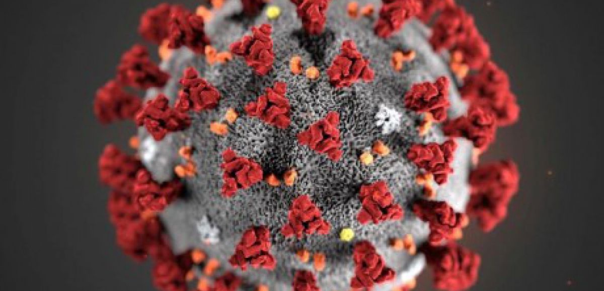 Le coronavirus prospèrerait dans les zones tempérées selon une étude