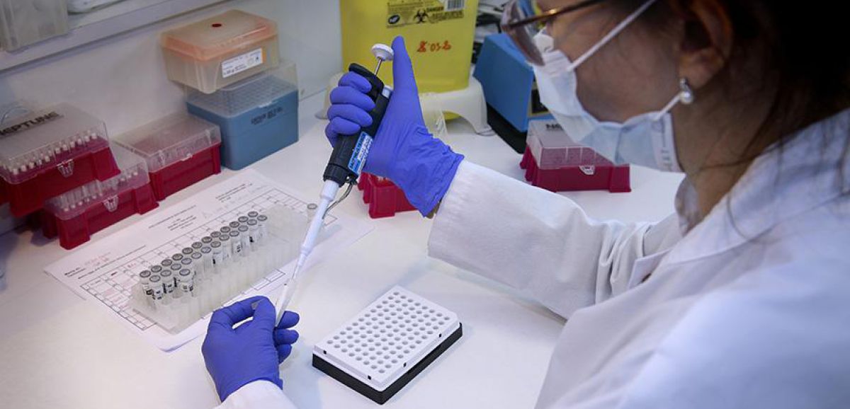 Un laboratoire israélien revendique un essai réussi de vaccin sur des rongeurs