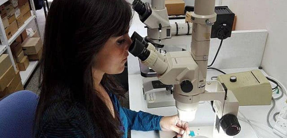 Découverte en Israel : un micro-robot pour identifier les cellules anormales