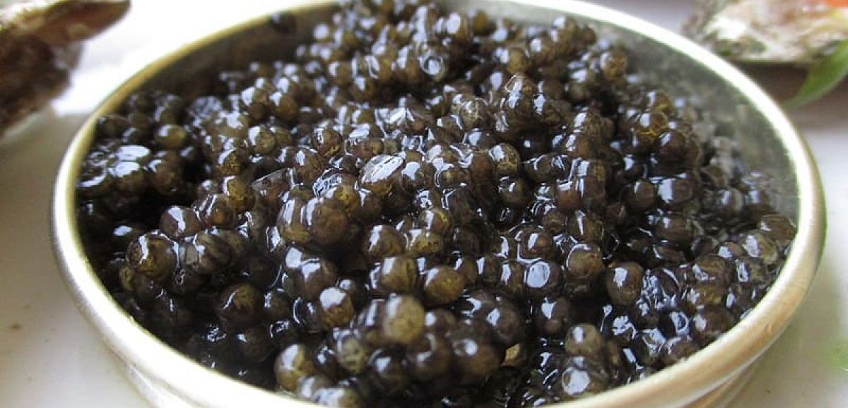 Le caviar israélien : le trésor noir est présent dans les restaurants étoilés