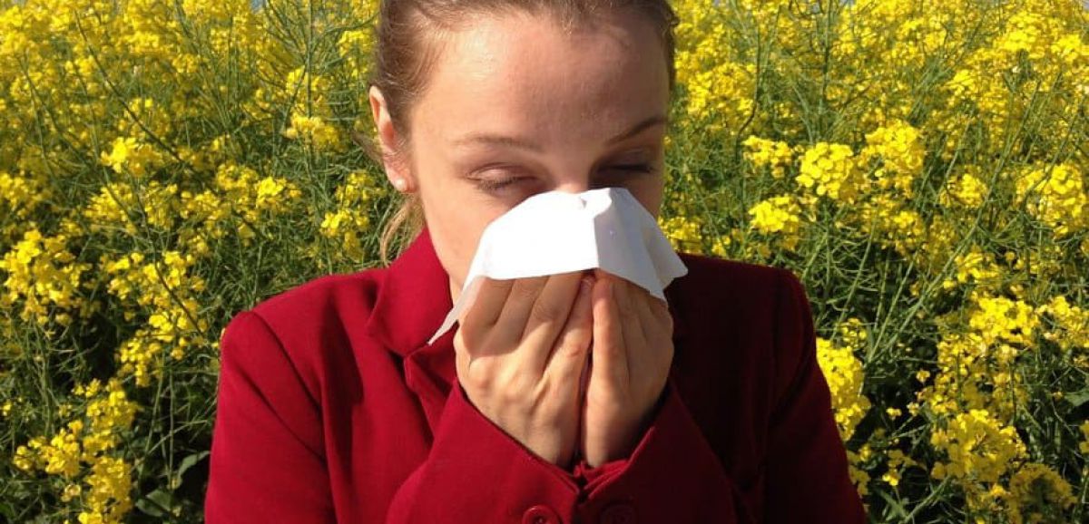 Allergies aux pollens : alerte rouge pour 81 départements français
