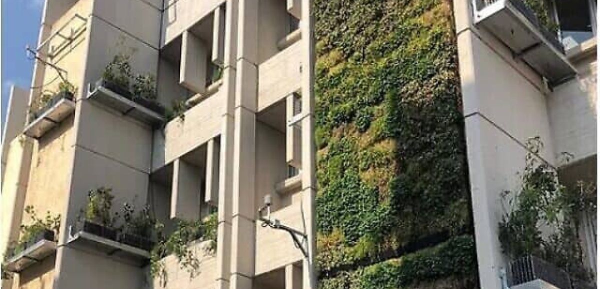 Des murs verticaux verts, chronique de Jean-François Strouf