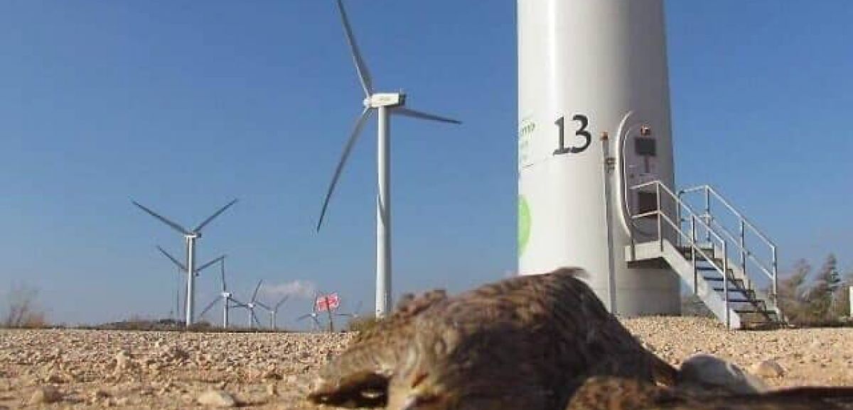 Une entreprise d'énergie renouvelable commence à tester la première des 39 éoliennes sur les hauteurs du Golan
