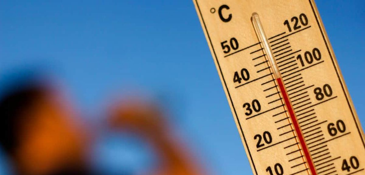 Le Record Climatique de Juillet 2023 : Un Avertissement Urgent sur le Réchauffement Planétaire