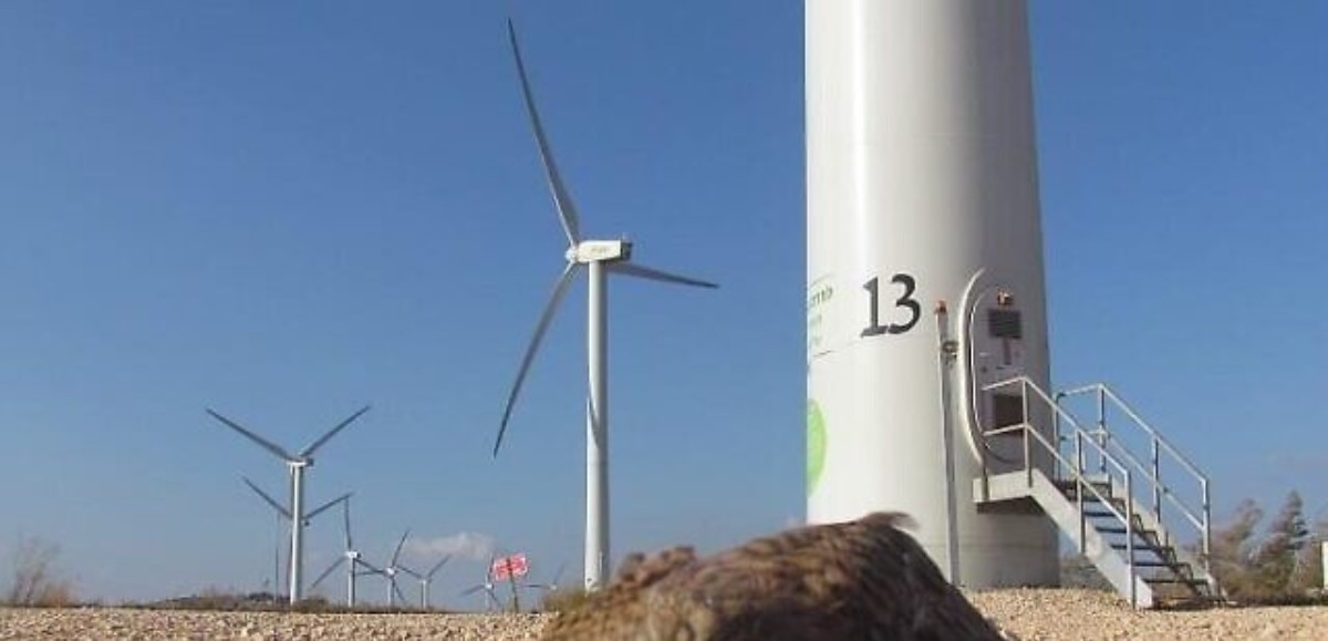 Quand les turbines à vent deviennent des tueuses de gaz à effets de serre, chronique de Jean-François Strouf