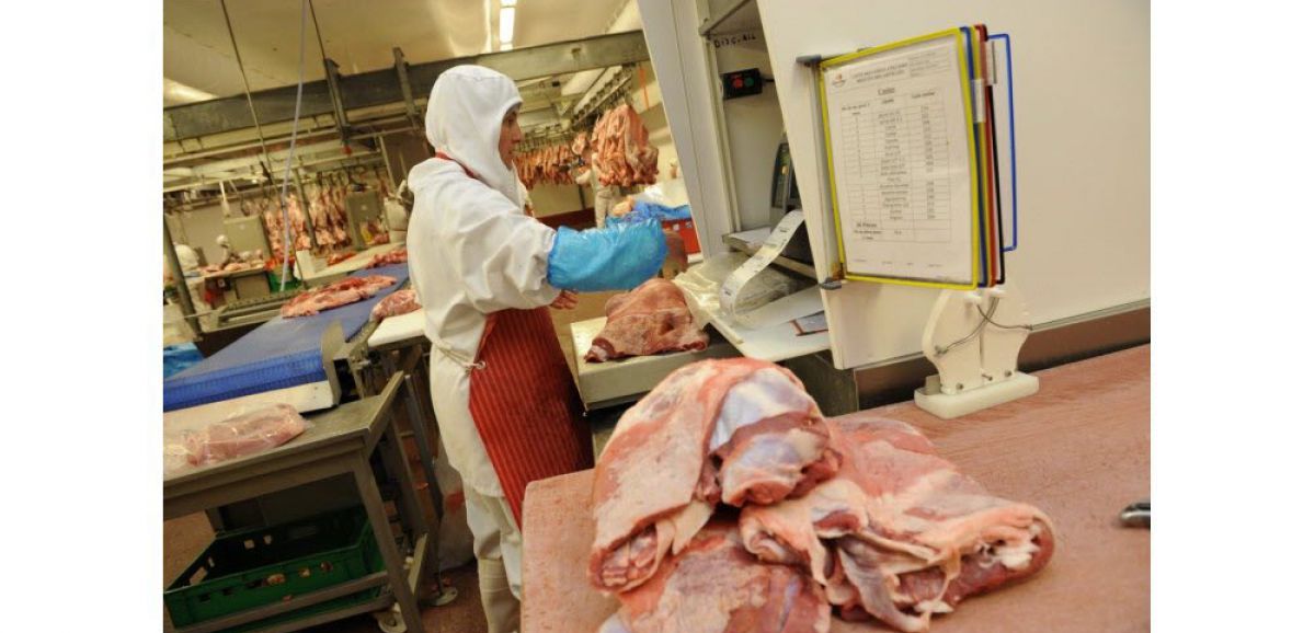 Le parlement polonais vote pour interdire l'exportation de viande cacher et halal