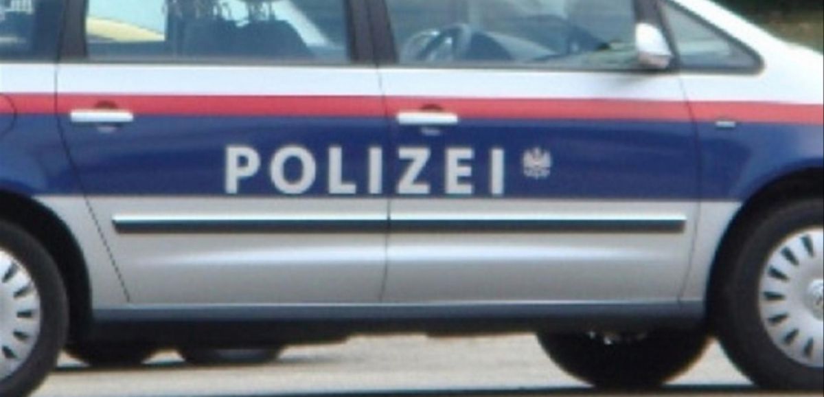 Un néo nazi en lien avec l'attentat de Halle en octobre 2019 arrêté et incarcéré en Autriche