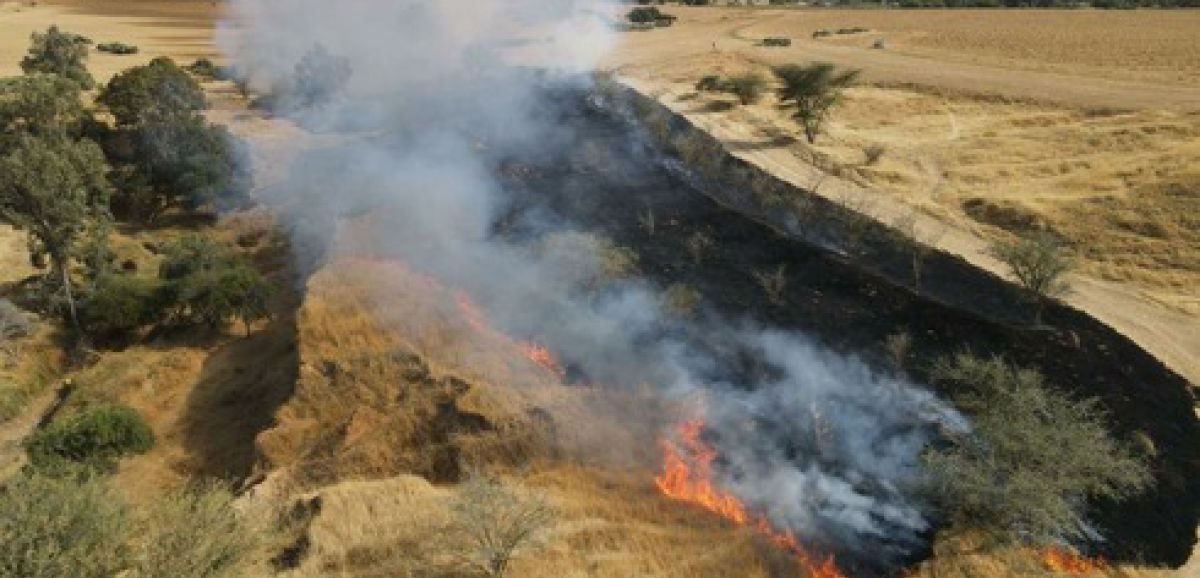 Des ballons incendiaires dans le sud d'Israël provoquent 7 incendies