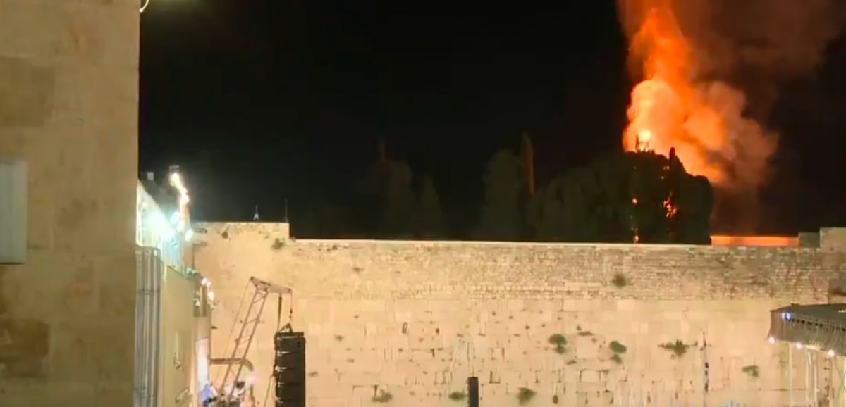 Un arbre du mont du Temple incendié au-dessus du mur occidental