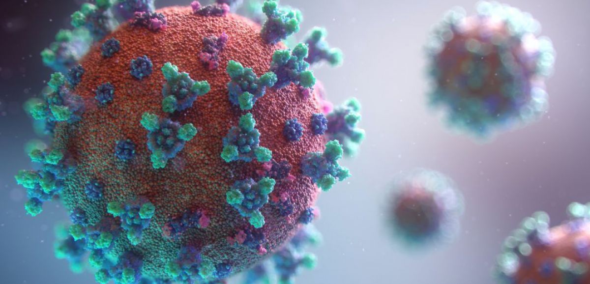 547 morts du coronavirus supplémentaires en France, 20 265 au total