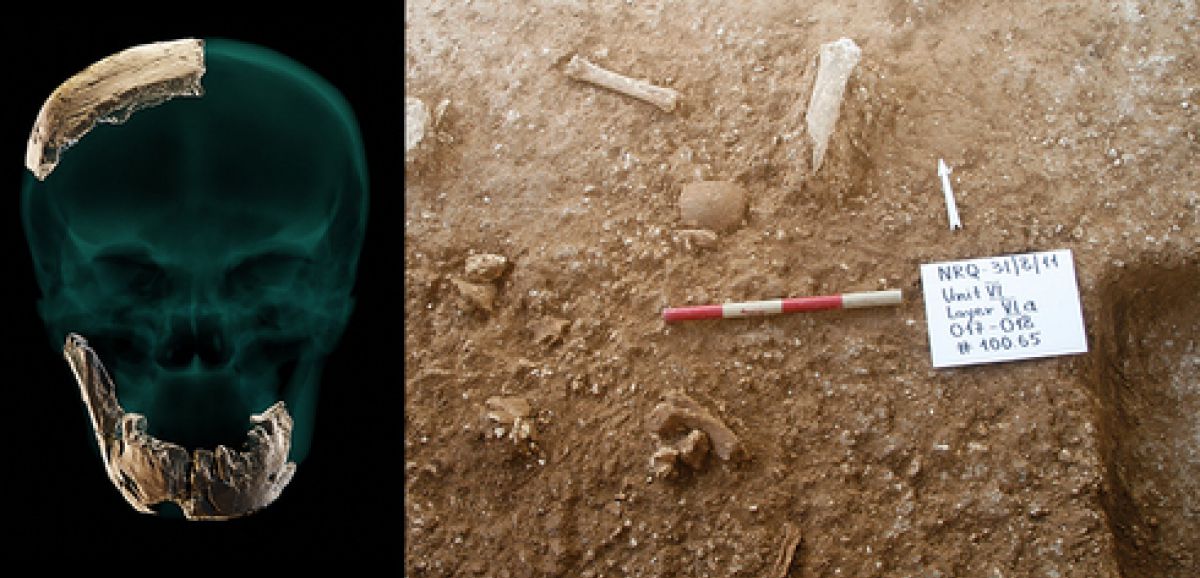 Des fossiles humains préhistoriques découverts en Israël