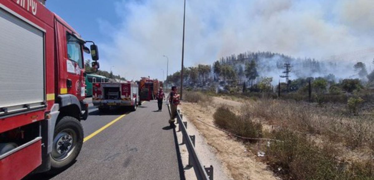 Gigantesque incendie dans une forêt près de Jérusalem, des habitants évacués