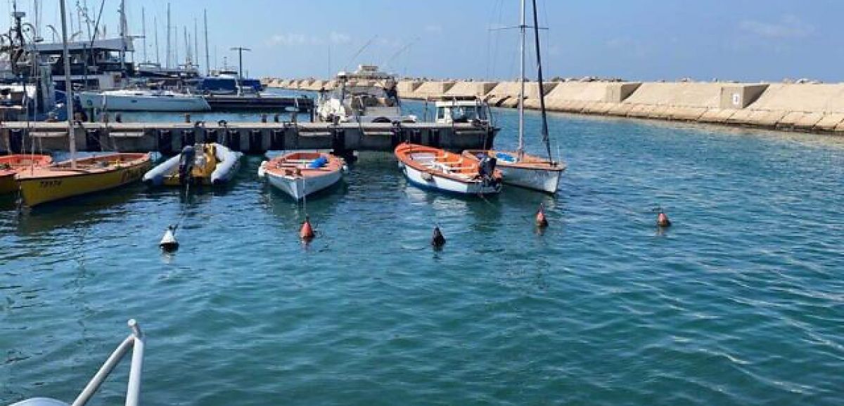 Un plongeur trouve un missile sous l'eau près du port de Jaffa