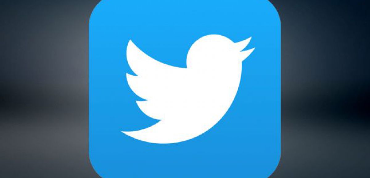Haine en ligne : Twitter sommé de détailler ses moyens de lutte fait appel