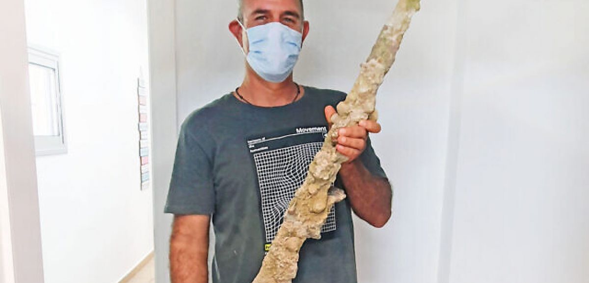 Un plongeur sort une épée datant de 900 ans du fonds marin près du mont Carmel au nord d'Israël