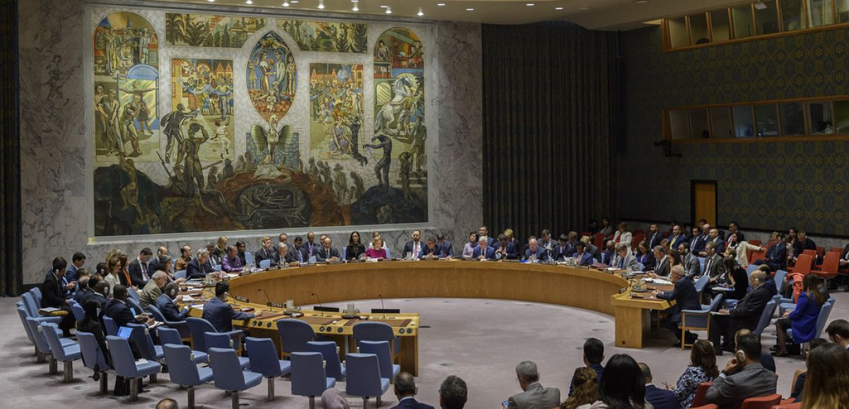 Les Emirats Arabes Unis et 4 autres pays rejoignent le conseil de sécurité de l'ONU