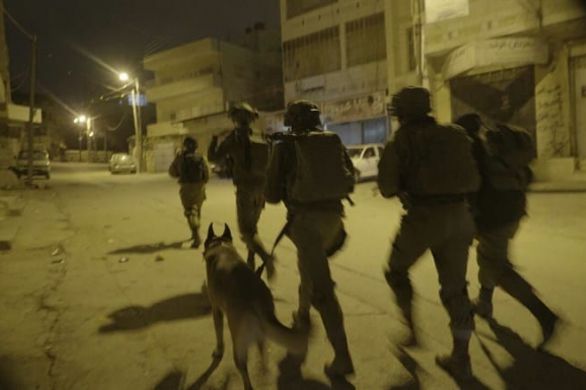 "Break the wave" : Tsahal arrête 10 palestiniens suspectés de terrorisme en Judée-Samarie