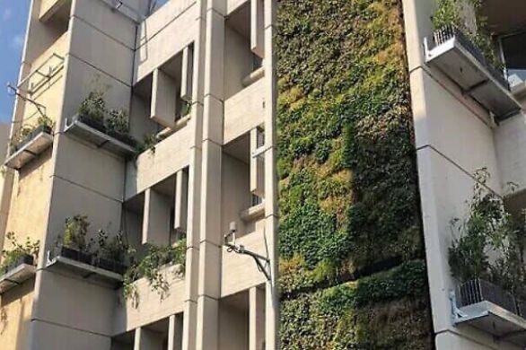 Des murs verticaux verts, chronique de Jean-François Strouf