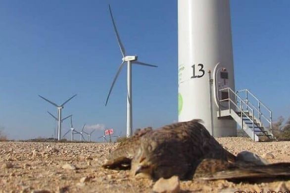 Une entreprise d'énergie renouvelable commence à tester la première des 39 éoliennes sur les hauteurs du Golan
