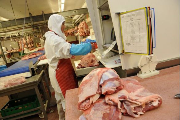 Le parlement polonais vote pour interdire l'exportation de viande cacher et halal