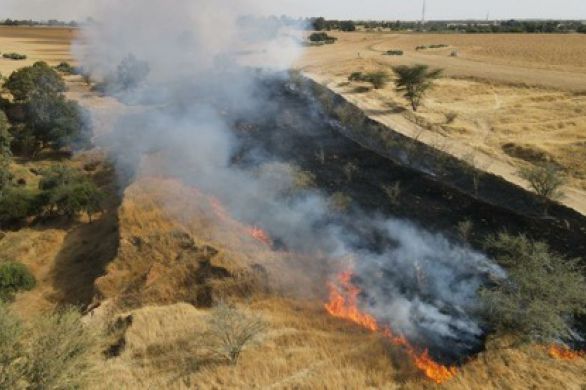 Des ballons incendiaires provoquent des incendies dans le sud d'Israël