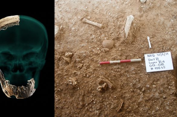 Des fossiles humains préhistoriques découverts en Israël