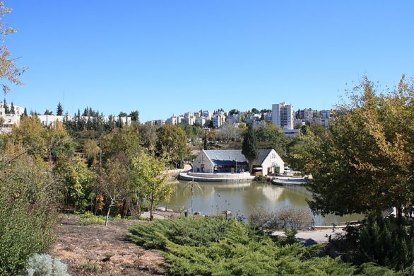 Le jardin botanique de Jérusalem, la chronique de Jean-François Strouf